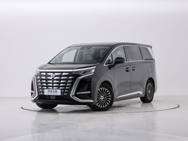 DENZA D9 EV