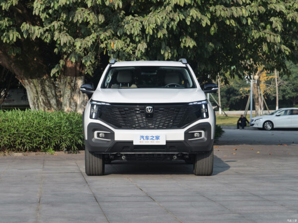 Chang an Kaicene F70 2024 Two wheel-drive pickup - 图片 3