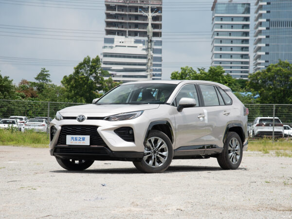 Toyota Wildlander 2023 Hybrid - 图片 9