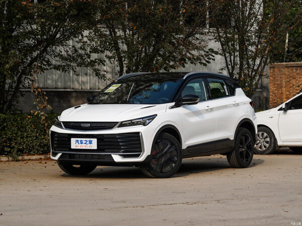 Geely Goolray 2022 2023 2024 gasoline - 图片 5