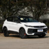 Geely Goolray 2022 2023 2024 gasoline