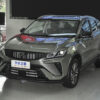 Geely Goolray 2022 2023 2024 gasoline - 图片 14