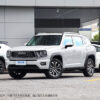 Haval H-DOG Gasoline - 图片 9