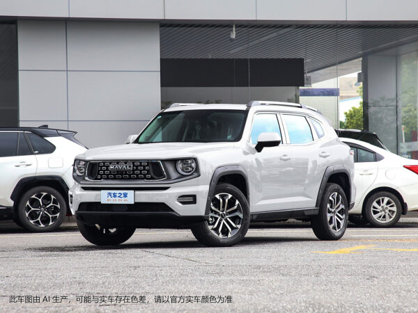 Haval H-DOG Gasoline - 图片 9