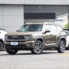 Haval H-DOG Gasoline - 图片 12