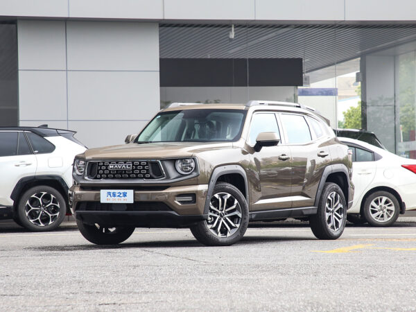 Haval H-DOG Gasoline - 图片 12