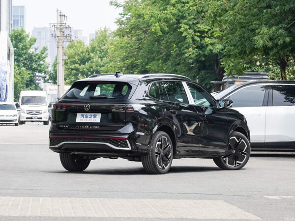 Volkswagen Tiguan Gasoline Four wheel drive - 图片 6