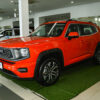 Haval H-DOG Gasoline - 图片 10