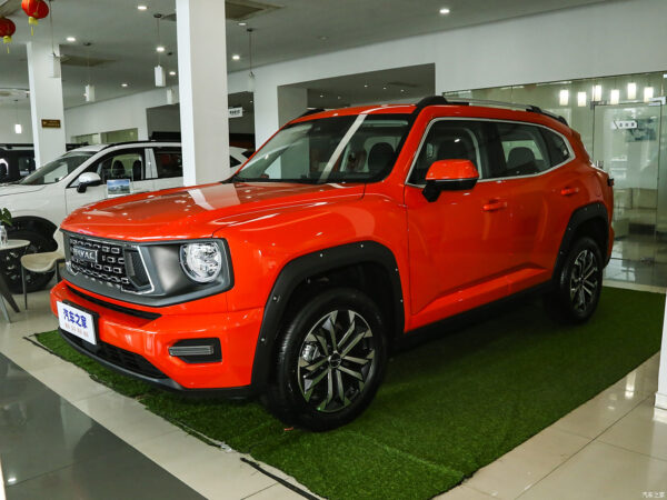 Haval H-DOG Gasoline - 图片 10