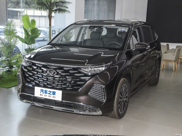 Hyundai CUSTO 2024 gasoline - 图片 9