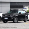 Haval H-DOG Gasoline - 图片 11
