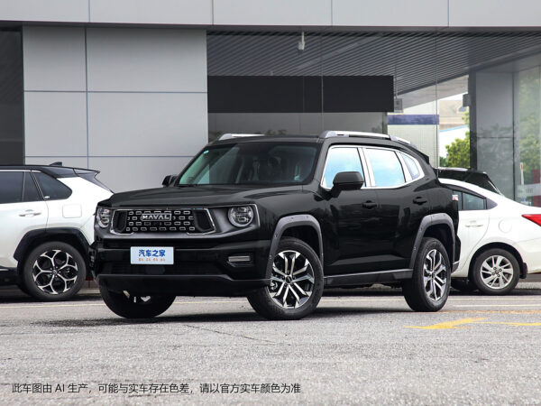 Haval H-DOG Gasoline - 图片 11