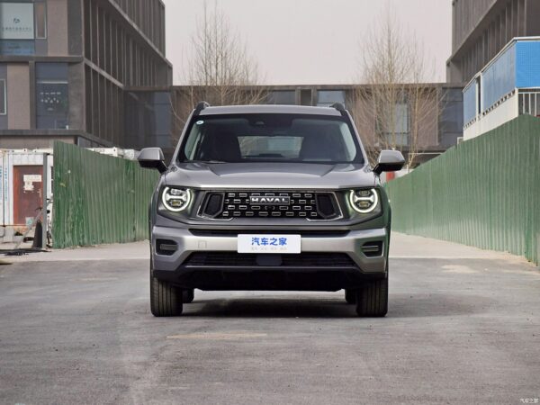 Haval H-DOG Gasoline - 图片 3