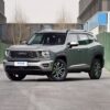 Haval H-DOG Gasoline - 图片 2