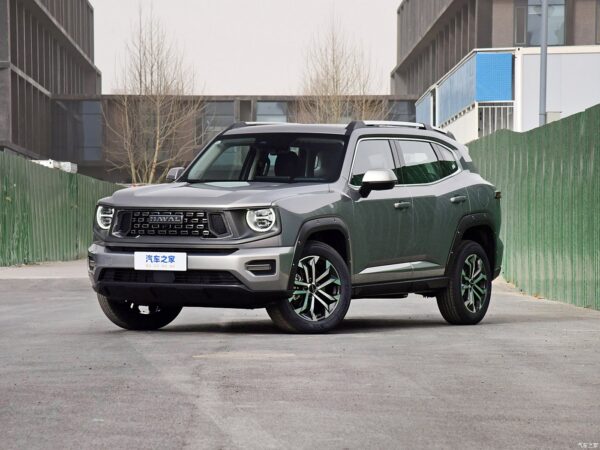 Haval H-DOG Gasoline - 图片 2