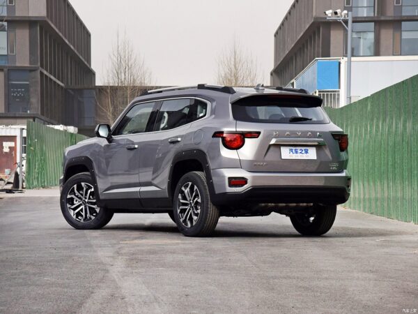 Haval H-DOG Gasoline - 图片 6