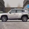 Haval H-DOG Gasoline - 图片 8