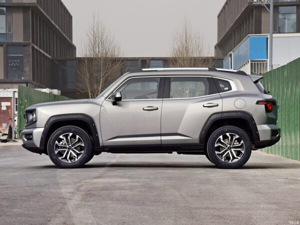 Haval H-DOG Gasoline - 图片 8