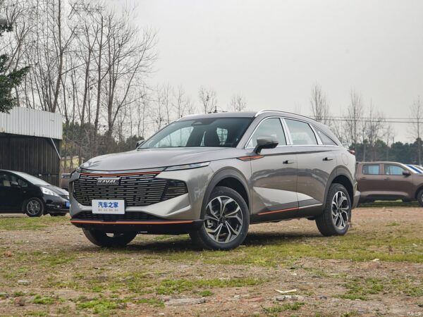Haval Shenshou gasoline - 图片 9