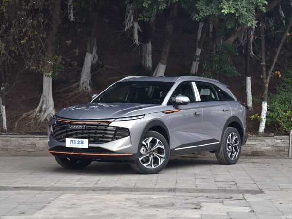 Haval Shenshou gasoline - 图片 2
