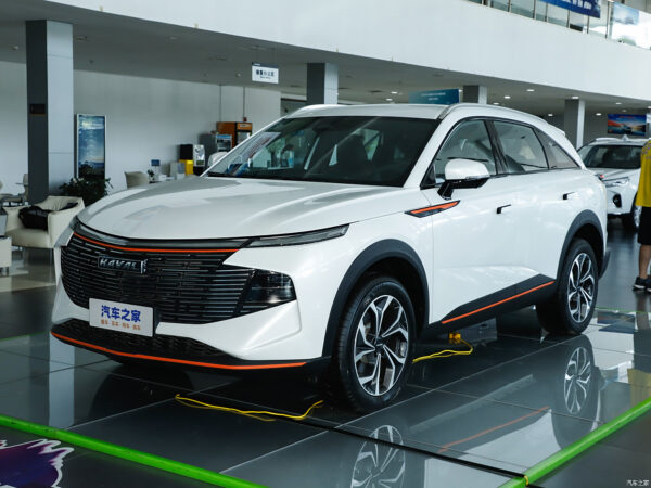 Haval Shenshou gasoline - 图片 11