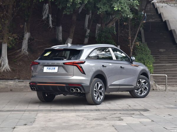 Haval Shenshou gasoline - 图片 5