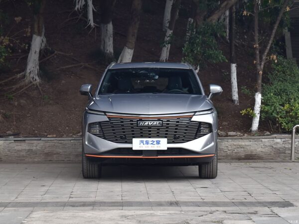 Haval Shenshou gasoline - 图片 3