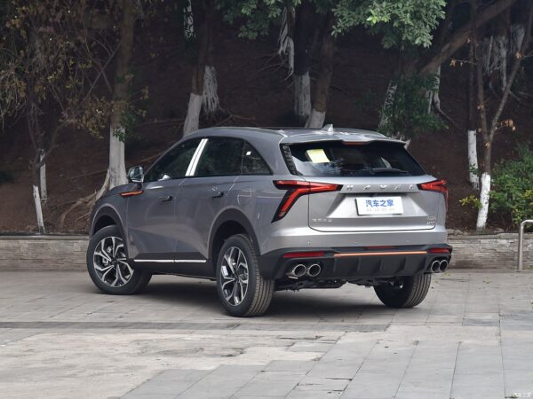 Haval Shenshou gasoline - 图片 7