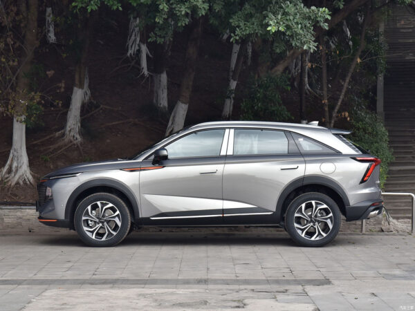 Haval Shenshou gasoline - 图片 8