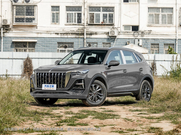 HongQi HS5 2023 gasoline - 图片 10