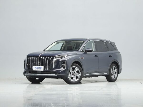 HongQi HS7 2023 Gasoline+48V mild hybrid system - 图片 10